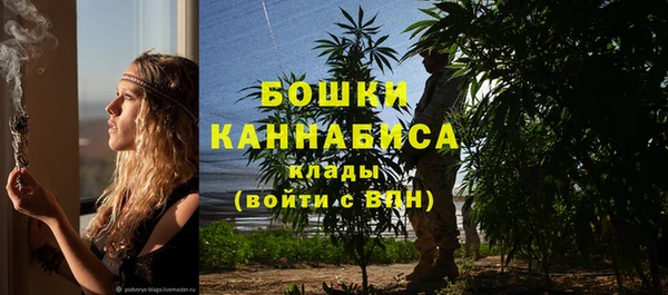 apvp Пестово