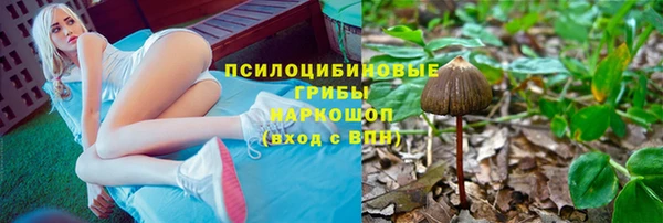 apvp Пестово