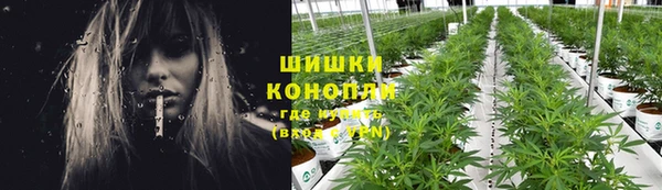 apvp Пестово